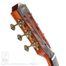 Bromo Guitars BEN2C 3ts (3 Tone Sunburst)_15