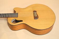 TACOMA C1C　2004年製_9