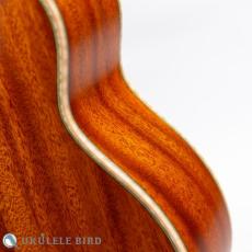 aNueNue aNN-US110_10