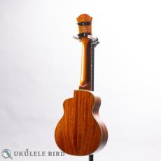 aNueNue aNN-US110_11