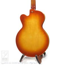 Rozeo Ladybug SM-TBC/RT Burst_4