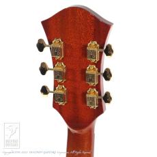 Rozeo Ladybug SM-TBC/RT Burst_9