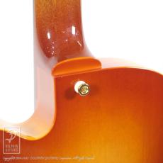 Rozeo Ladybug SM-TBC/RT Burst_13