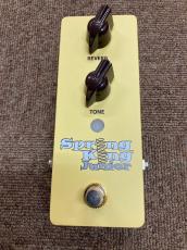 Danelectro SKJ-1 Spring King Junior