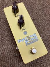 Danelectro SKJ-1 Spring King Junior_3