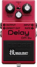 BOSS DM-2W Delay_2