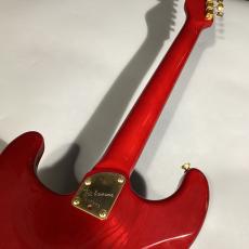 Bill Lawrence BL1R-65G【ビルローレンス】_6