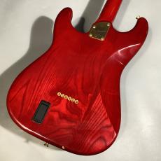 Bill Lawrence BL1R-65G【ビルローレンス】_7