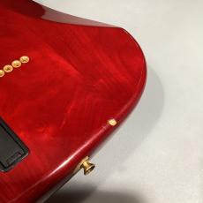 Bill Lawrence BL1R-65G【ビルローレンス】_9