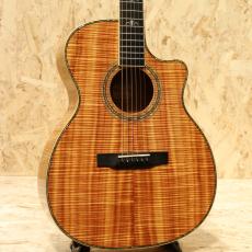 Larrivee(ラリビー)、1990年代の検索結果1～18件【楽器検索｜Jギター】