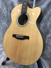 Paul Reed Smith [PRS] SE A30E