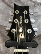 Paul Reed Smith [PRS] SE A30E_4