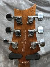 Paul Reed Smith [PRS] SE A30E_6