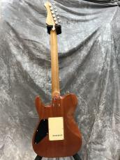 Bacchus TAC24AD-FMH RSM/M_3