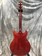 Ibanez AS-100 Artist_3