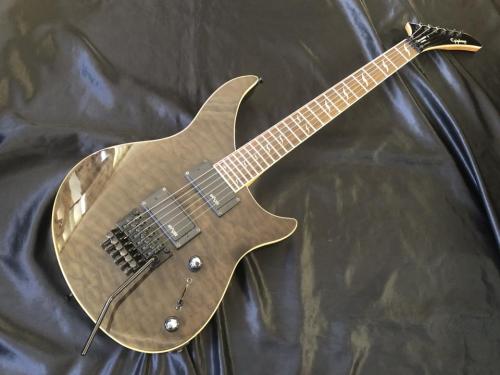 Epiphone Prophecy EM-2 Custom FX