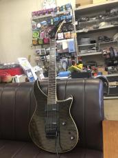 Epiphone Prophecy EM-2 Custom FX_2