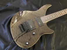 Epiphone Prophecy EM-2 Custom FX_3