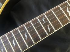 Epiphone Prophecy EM-2 Custom FX_5