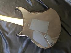 Epiphone Prophecy EM-2 Custom FX_7