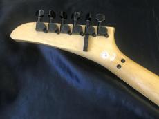 Epiphone Prophecy EM-2 Custom FX_11