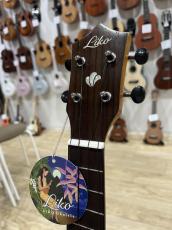 LIKO Plain Concert_3