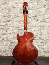 Eastman AR372CE CLA 2022_12