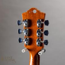 Guild G-37 BLD_7
