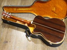 Alvarez Yairi FS-100C_3