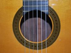 ノーラベル 正体不明のネグラ(黒)?　オール単板仕様_4