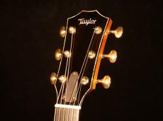 Taylor GS Custom【アディロンダック×ハカランダ単板 特別仕様モデルがスペシャルプライスでご提供です! 】解説試奏動画ご覧下さい。_9