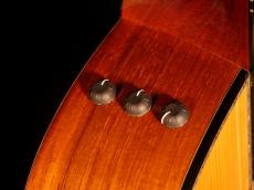 Taylor GS Custom【アディロンダック×ハカランダ単板 特別仕様モデルがスペシャルプライスでご提供です! 】解説試奏動画ご覧下さい。_14