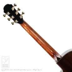 Naga Guitars Kotaro Oshio Signature "Wings" Series - Cutaway_11