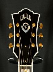 Guild D-55 NAT [SER:C240225]_7