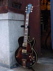 Ibanez '07 AK95-DVS