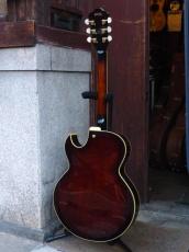 Ibanez '07 AK95-DVS_2