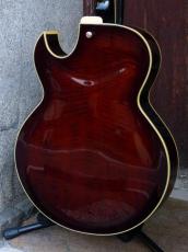 Ibanez '07 AK95-DVS_4