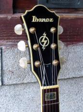 Ibanez '07 AK95-DVS_5