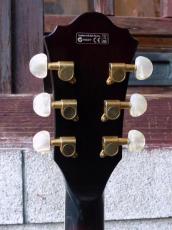 Ibanez '07 AK95-DVS_6