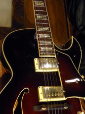 Ibanez '07 AK95-DVS_7