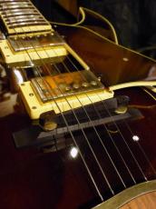 Ibanez '07 AK95-DVS_8