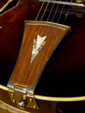 Ibanez '07 AK95-DVS_9