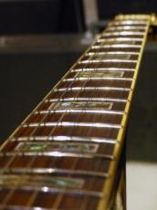 Ibanez '07 AK95-DVS_10