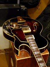 Ibanez '07 AK95-DVS_11
