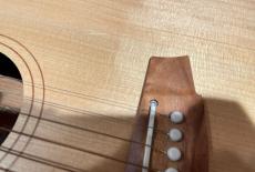 Cole Clark CCFL1EC-BM_3