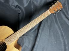 Cole Clark CCFL1EC-BM_6