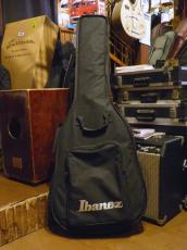 Ibanez '07 AK95-DVS_13