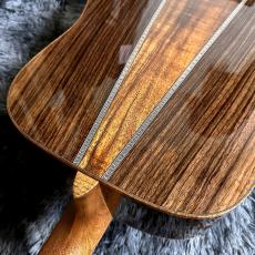 Martin Custom Shop CTM D ES/IRW/HFK #2989418【Martin Factory Tour 2025 選定個体】_10