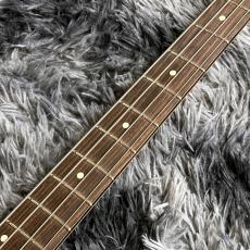 Fender American Professional Classic Precision Bass 3-Color Sunburst / Rosewood【特価】_5