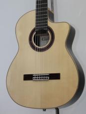 エレガット、カッタウェイの検索結果1～50件【楽器検索｜Jギター】